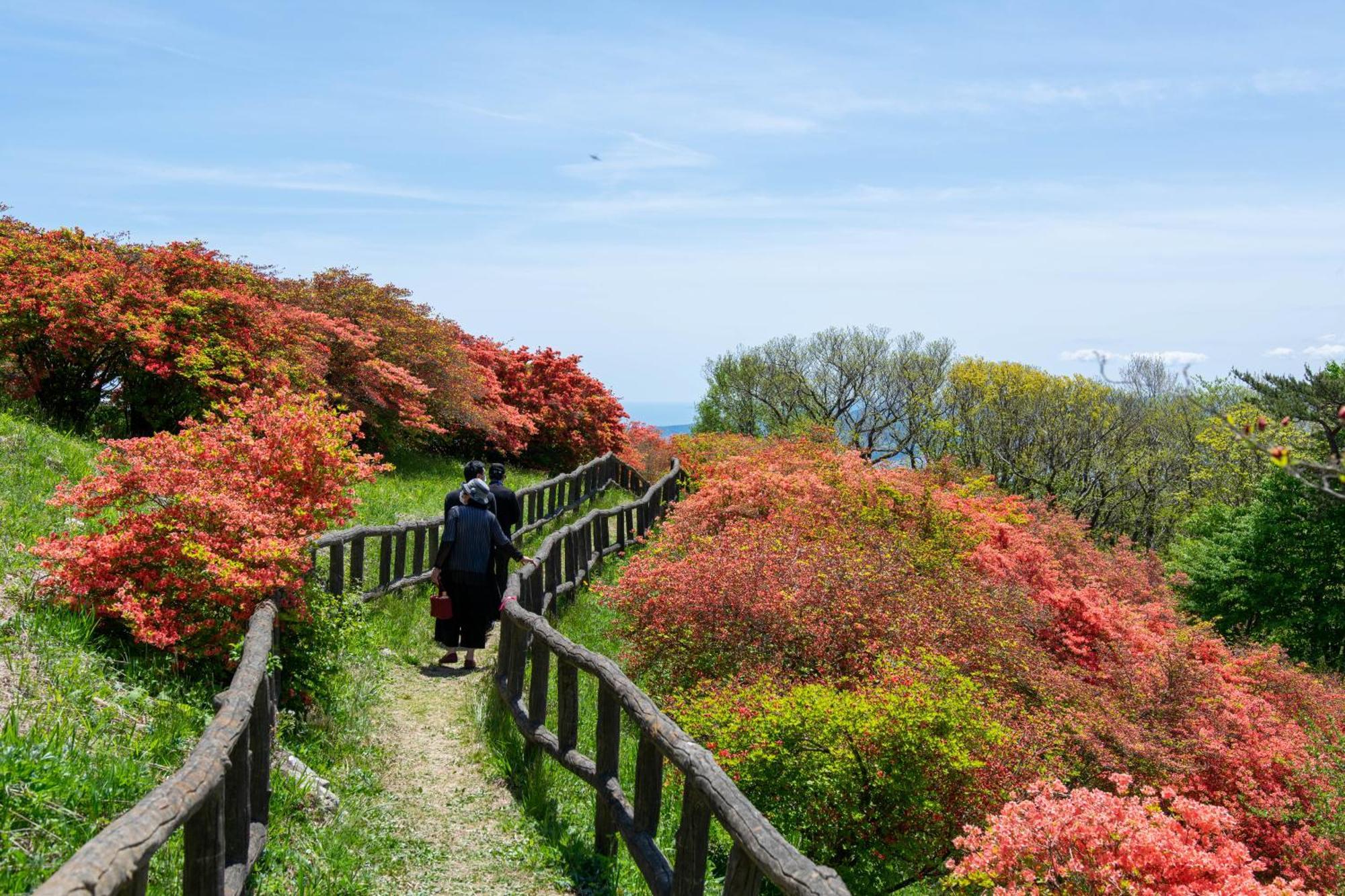 Minami Sanriku Hotel Kanyo Shizugawa Экстерьер фото